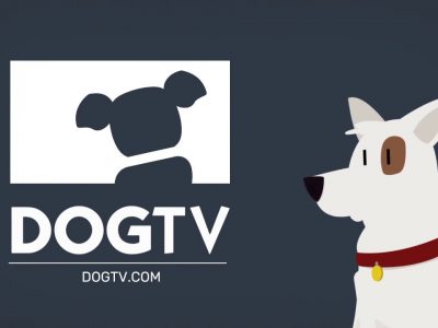 how much is dog tv on directv